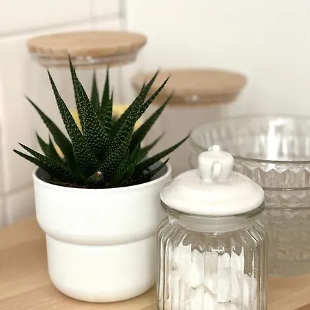 Apartmán La Petite Remoise - Hyper Centre *