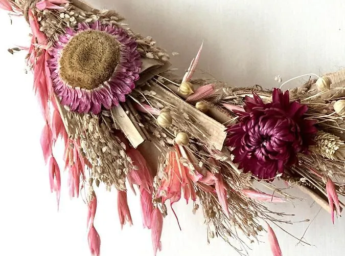 La Petite Remoise - Hyper Centre Reims