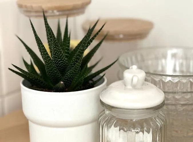 Apartment La Petite Remoise - Hyper Centre *