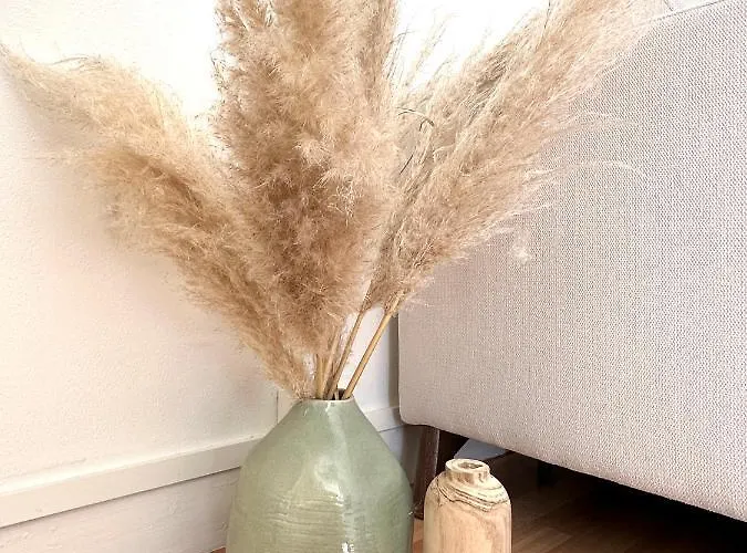 La Petite Remoise - Hyper Centre * Reims